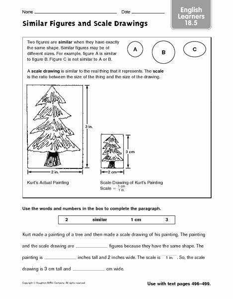 50 Scale Factor Worksheet 7th Grade