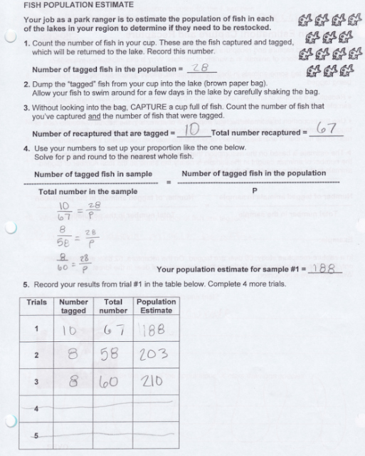 Scale Factor Worksheet 7th Grade Fresh Ms Milleson S 7th Grade Blog Capture Recapture