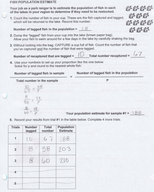 50 Scale Factor Worksheet 7th Grade