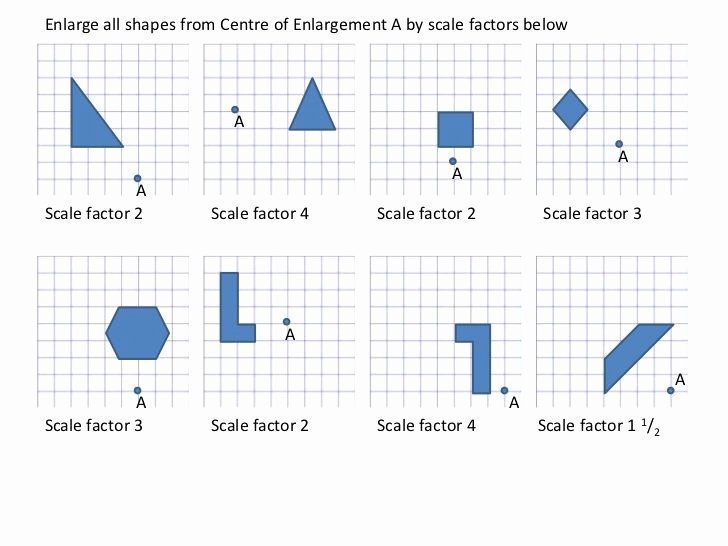 50 Scale Factor Worksheet With Answers