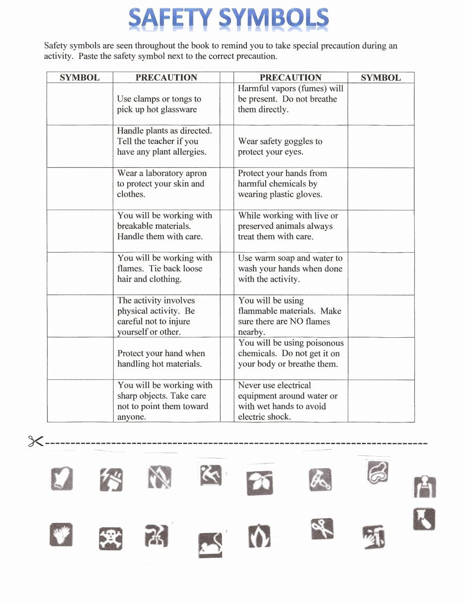 Science Lab Safety Worksheet Beautiful Science Safety Worksheets Science Alistairtheoptimist