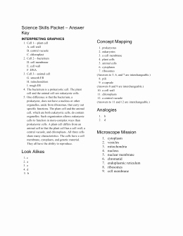 Science Skills Worksheet Answer Key Unique Eukaryotic Cell Analogy Project