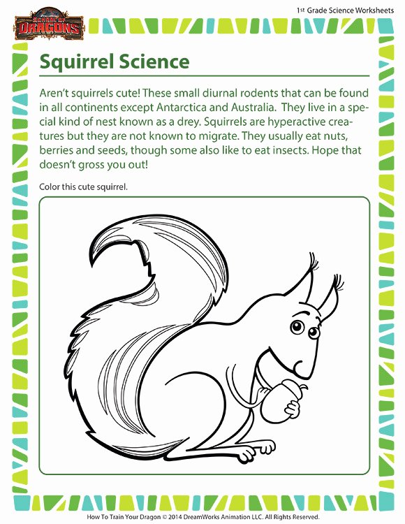 Science Worksheet for 1st Grade Best Of Squirrel Science Worksheet 1st Grade Kids Printable sod