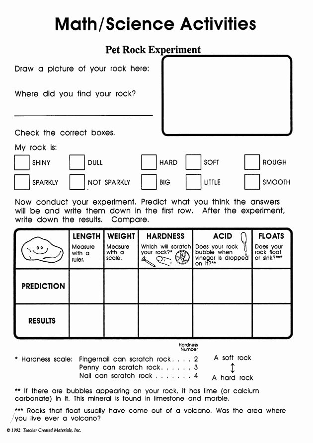 Science Worksheet for 1st Grade Lovely Pet Rock Experiment – Learning Activity for 1st Grade
