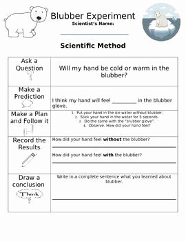 Scientific Method Examples Worksheet Beautiful Scientific Method Steps Examples &amp; Worksheet Zoey and