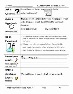 Scientific Method Examples Worksheet Inspirational 1000 Images About Scientific Method On Pinterest