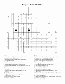Scientific Method Review Worksheet Answers Beautiful Biology and the Scientific Method Crossword Puzzle by