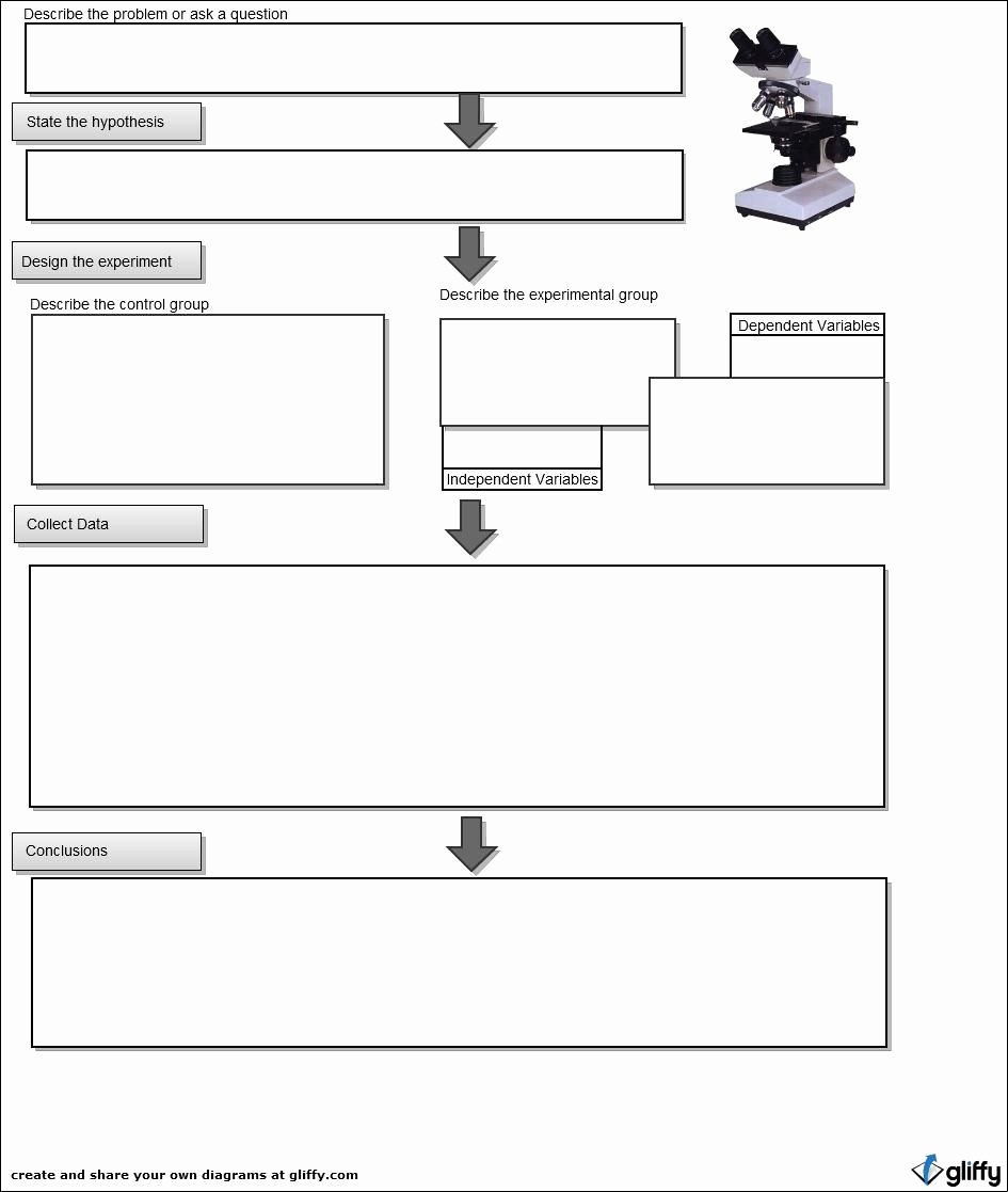 50 Scientific Method Steps Worksheet