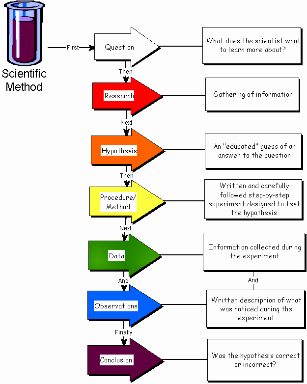 Scientific Method Steps Worksheet Luxury Biology 7th Grade Scientific Method