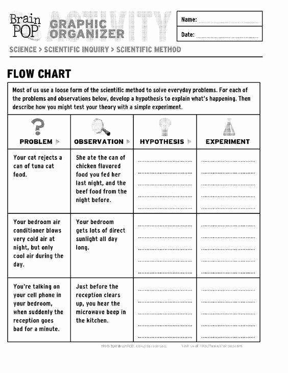 Scientific Method Worksheet 4th Grade Lovely Scientific Method Worksheet Answers