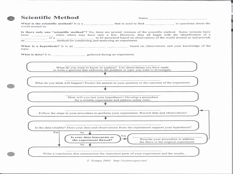 50 Scientific Method Worksheet Answer Key