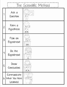 Scientific Method Worksheet Elementary New 5th Grade Science On Pinterest