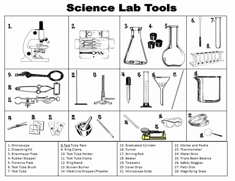 Scientific Method Worksheet High School Lovely Scientific Method Steps Examples &amp; Worksheet Zoey and