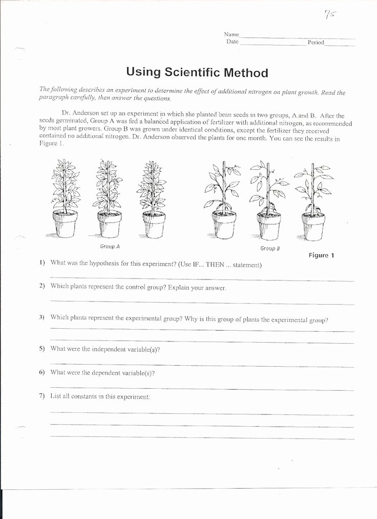 Scientific Method Worksheet High School Luxury Using Scientific Method Worksheet 1 163×1 600 Pixels