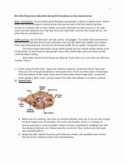 Sheep Brain Dissection Worksheet Inspirational Worksheet 6 1 Worksheet 6 1 Label Analysisprotein