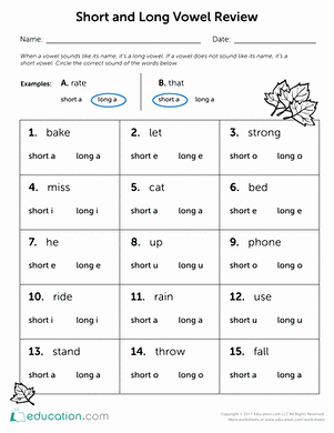 Short and Long Vowel Worksheet Inspirational Short Vowel Bingo Worksheet
