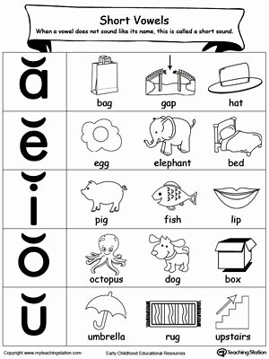 Short and Long Vowel Worksheet New Pin On Phonics Worksheets