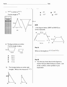 Similar Figures Worksheet Answer Key Inspirational 1000 Images About School Math Similar Figures On