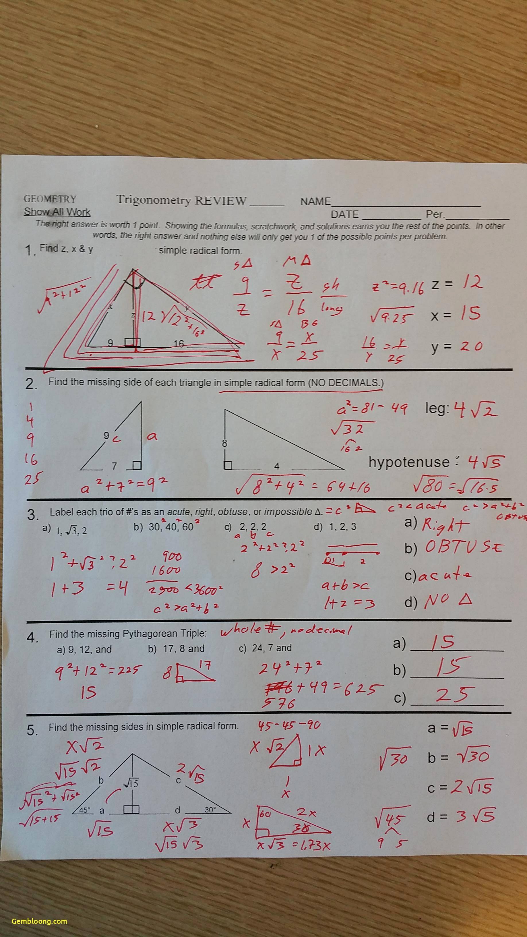 50 Similar Polygons Worksheet Answers