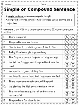 Simple and Compound Sentence Worksheet Luxury Simple and Pound Sentences No Prep Practice Sheets by