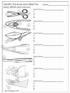 Simple Machines Worksheet Answers Beautiful Simple Machines Label and Identify the Levers