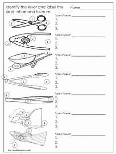 Simple Machines Worksheet Middle School Unique Simple Machines Label and Identify the Levers