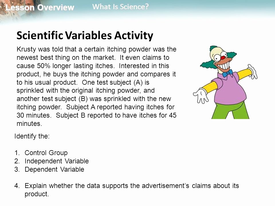 krusty simpsons science worksheet