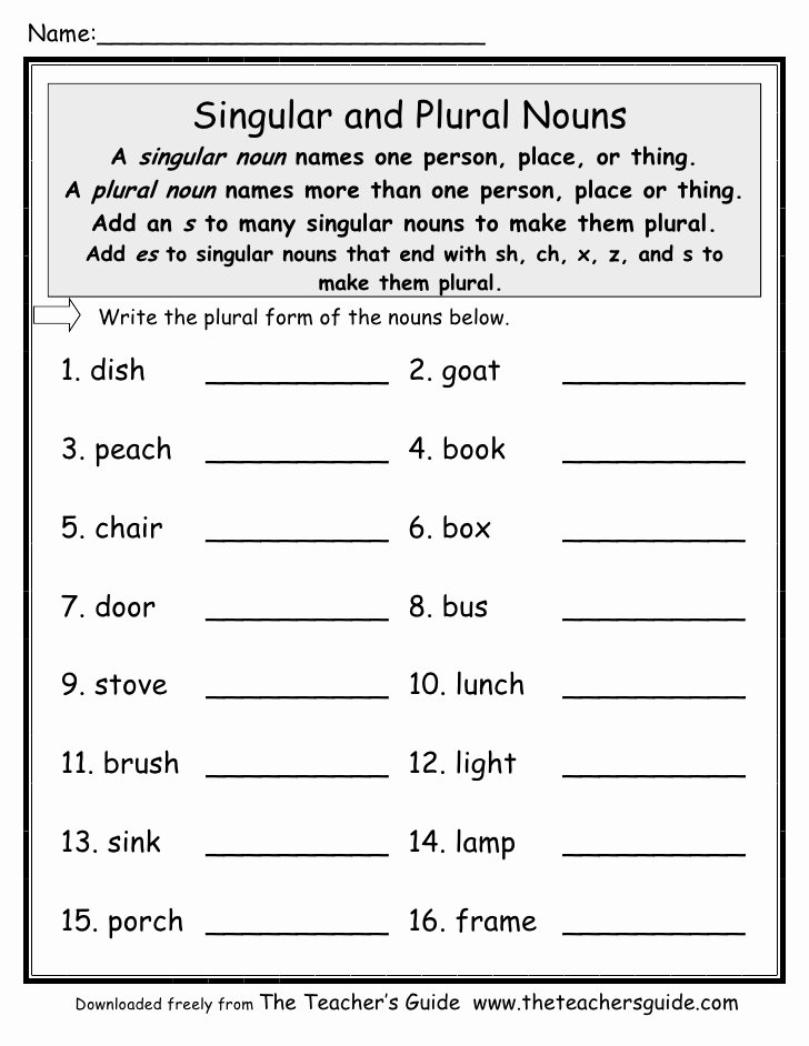 Singular and Plural Nouns Worksheet Awesome Plural Noun Worksheet