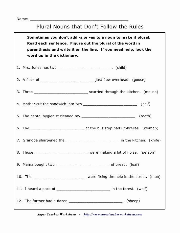 Singular and Plural Nouns Worksheet Beautiful Plural Noun Worksheet Number 3