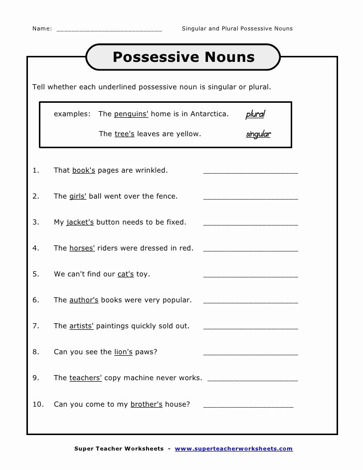Singular Possessive Nouns Worksheet Elegant Singular and Plural Possessive Nouns