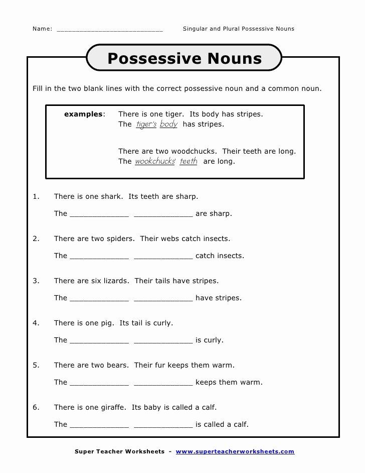 Singular Possessive Nouns Worksheet Inspirational Possessive Singular Plural