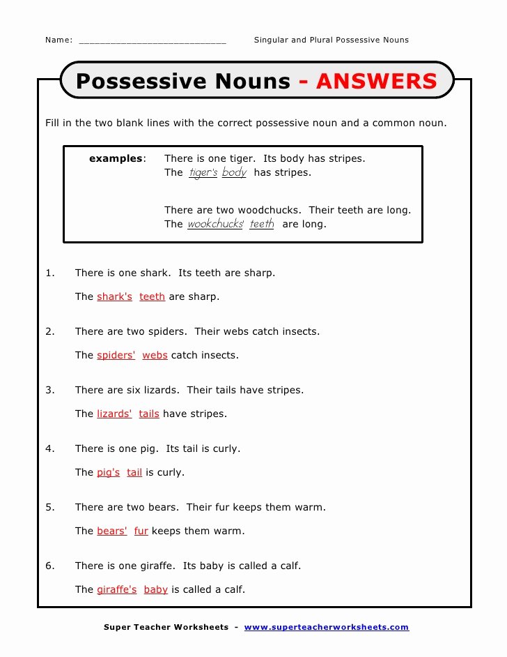 Singular Possessive Nouns Worksheet Lovely Possessive Singular Plural