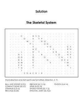 Skeletal System Worksheet Pdf Luxury Human Body Systems Word Search Bones and Skeletal System