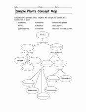 Skills Worksheet Concept Mapping Luxury Simple Plants Concept Map 6th 10th Grade Worksheet
