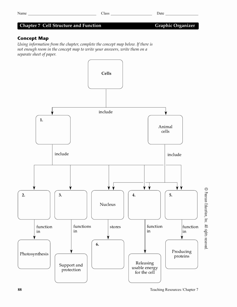 Skills Worksheet Concept Mapping Unique Worksheet Skills Worksheet Concept Mapping Worksheet Fun