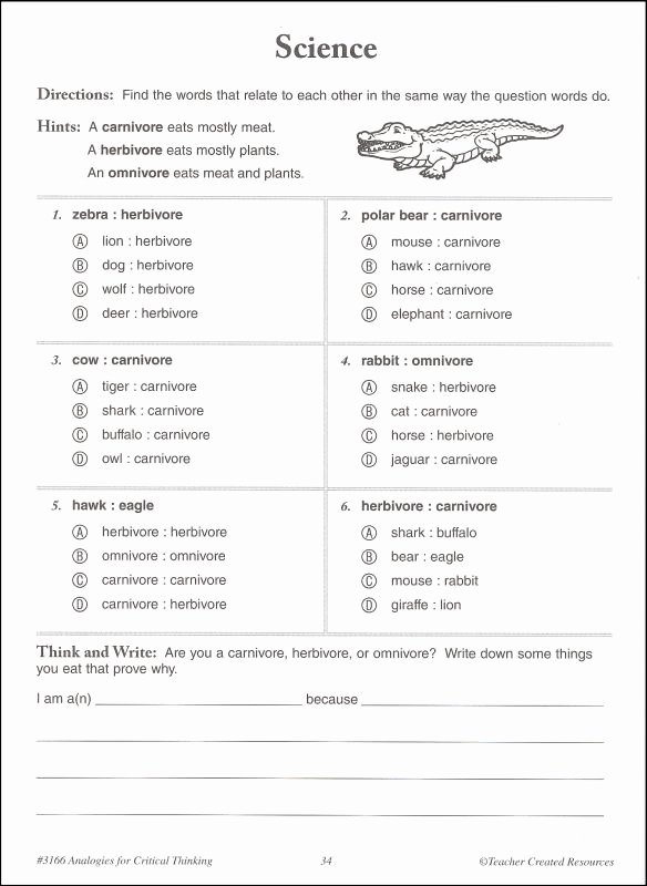 Skills Worksheet Critical Thinking Analogies Luxury Analogies for Critical Thinking Grade 3 Details