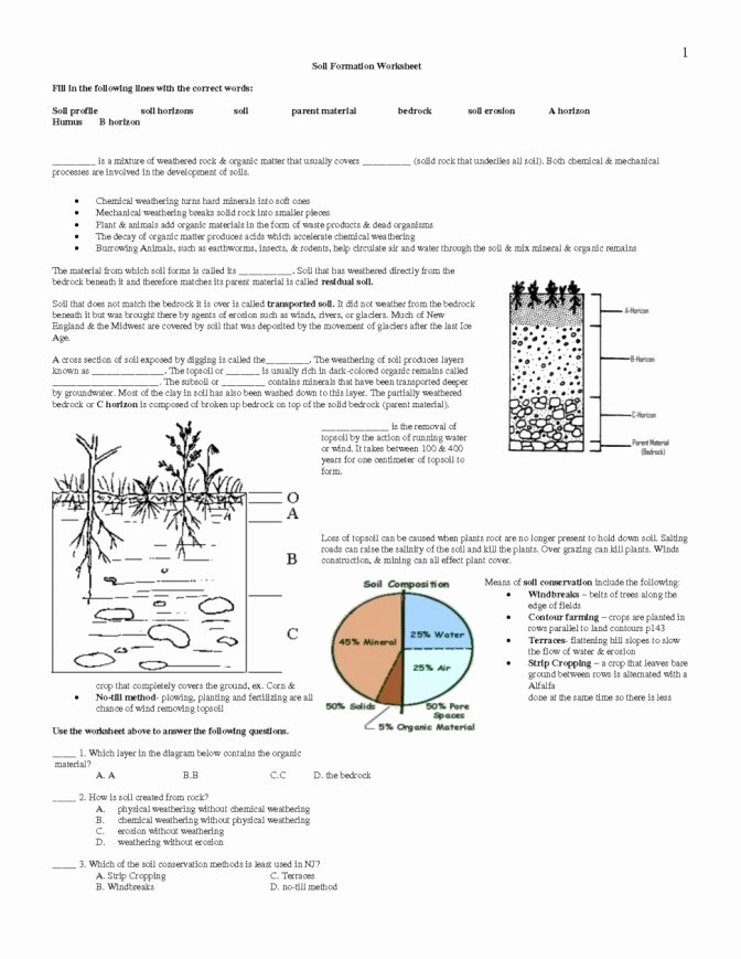 50 Soil Formation Worksheet Answers