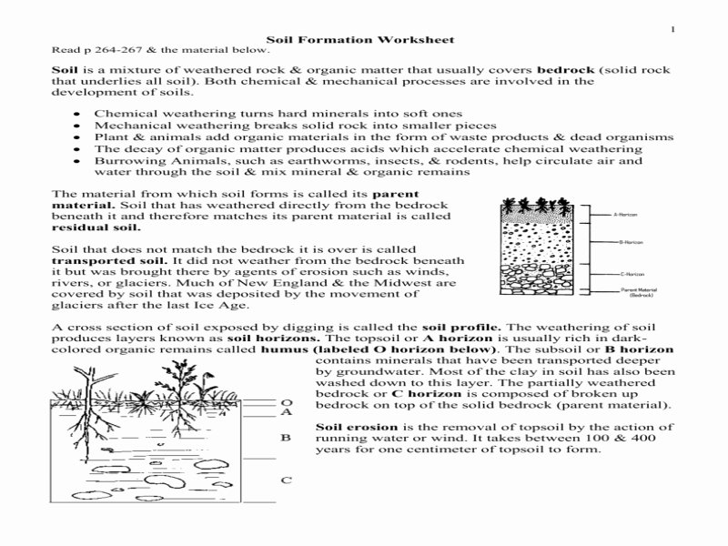 Soil formation Worksheet Answers Luxury soil formation Worksheet Free Printable Worksheets