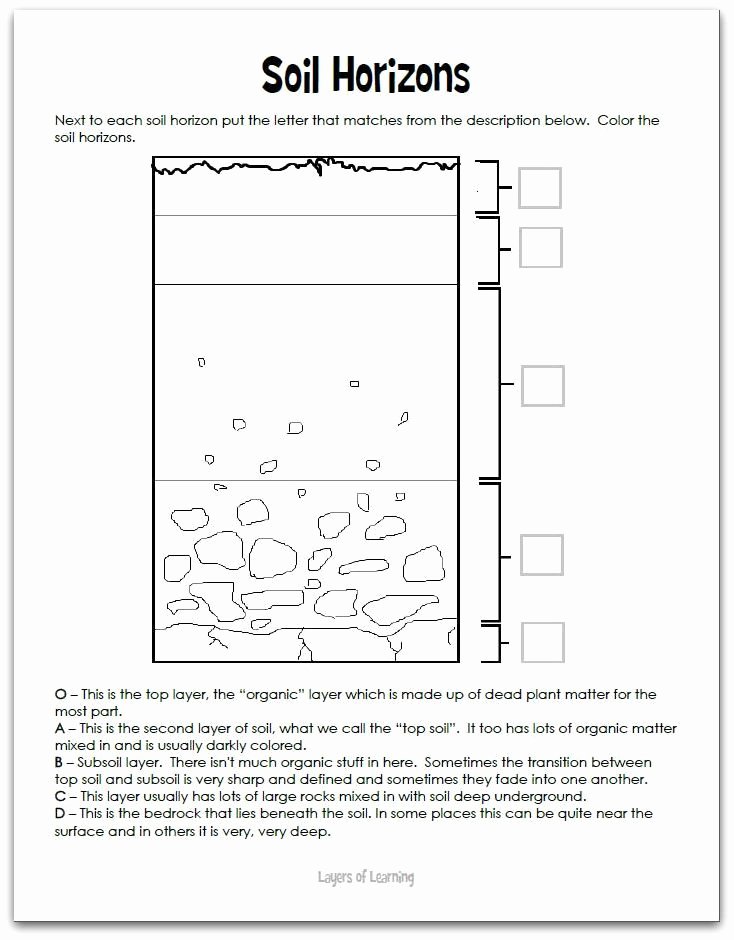 Soil formation Worksheet Answers Luxury Unit 1 16 Science