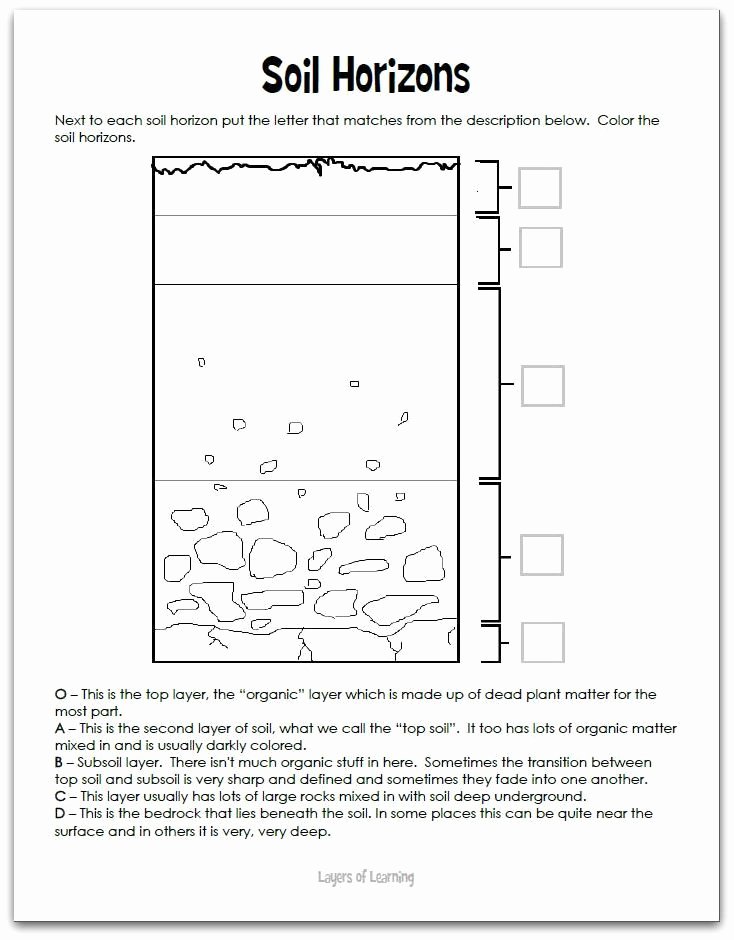 50 Soil Formation Worksheet Answers
