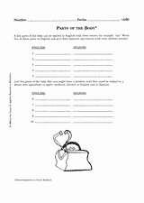 Spanish Body Parts Worksheet Best Of Parts Of the Body — 14 Puzzle Packet