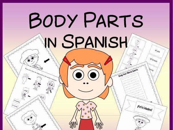 Spanish Body Parts Worksheet Best Of Spanish Body Parts Vocabulary Sheets Worksheets