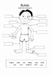 Spanish Body Parts Worksheet Fresh 21 Awesome Label the Parts Of the Body Worksheet for Kids