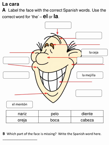 Spanish Body Parts Worksheet Inspirational Face and Parts Of the Body Spanish Y4 by Rhawkes