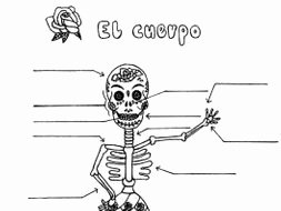 Spanish Body Parts Worksheet Inspirational Spanish Body Parts Day Of the Dead Practice Worksheet No