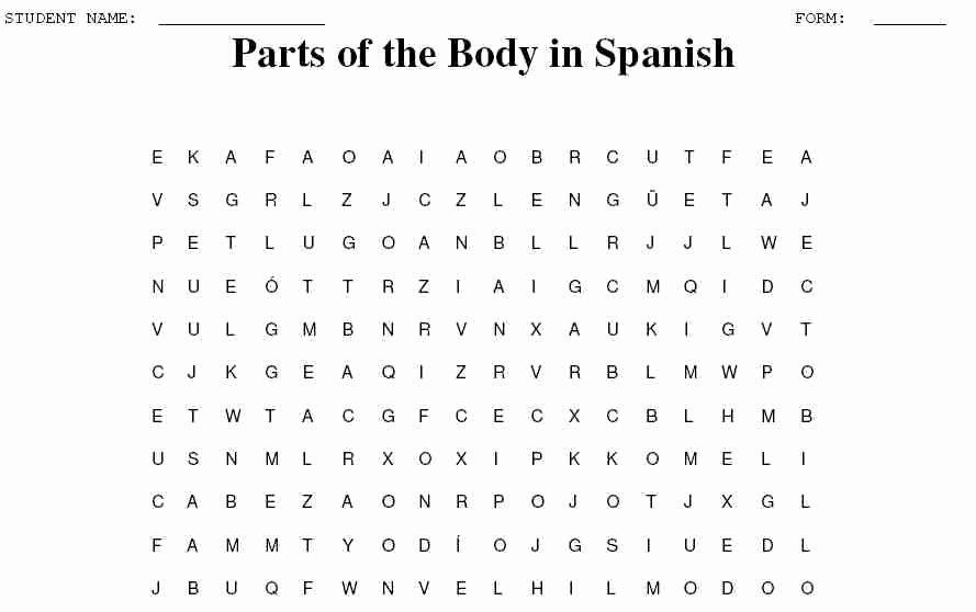 Spanish Body Parts Worksheet New Bertotools Terminology Search Results