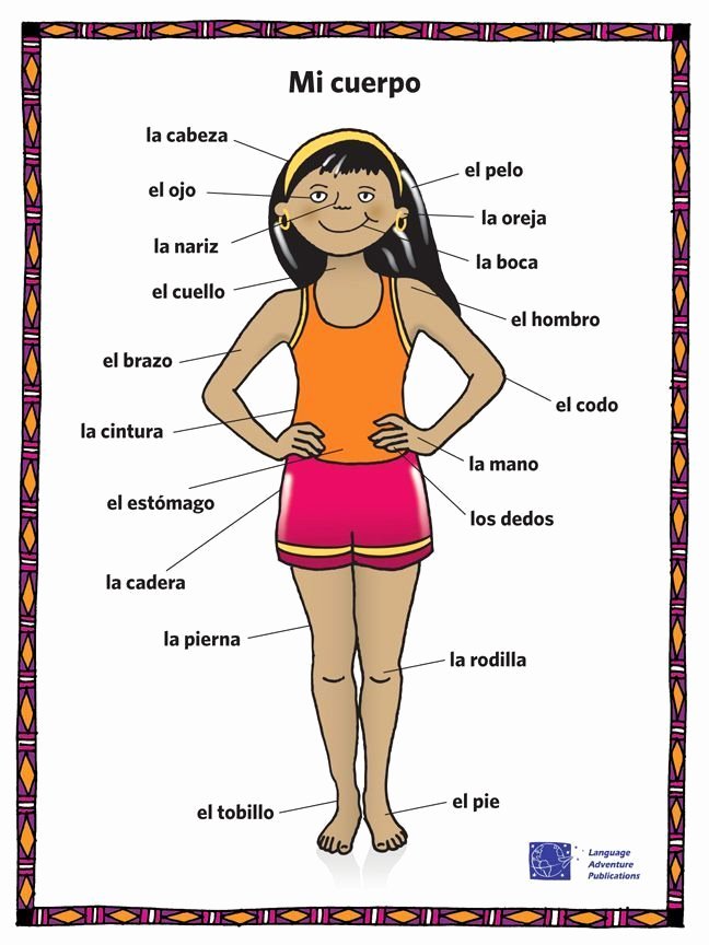 Spanish Body Parts Worksheet New Image Result for Body Parts In Spanish