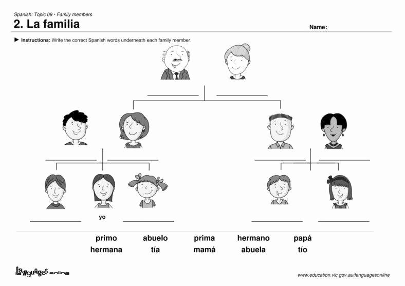 50 Spanish Family Tree Worksheet