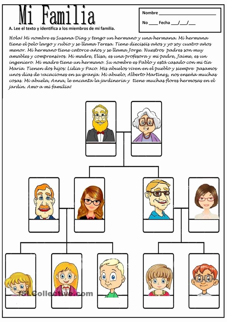 50 Spanish Family Tree Worksheet