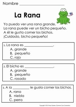 Spanish Reading Comprehension Worksheet Lovely Spanish Reading Prehension Passages and Questions the